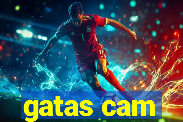 gatas cam